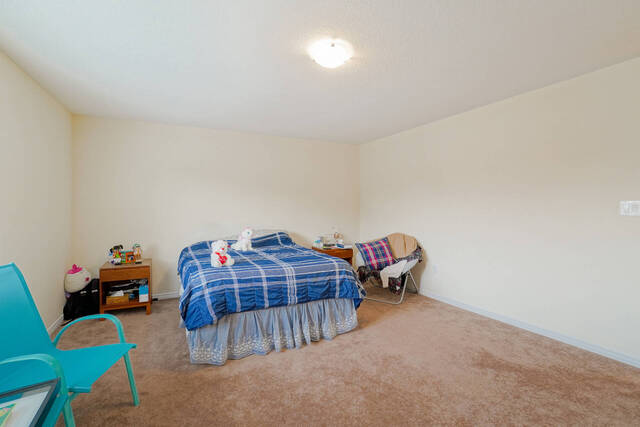 29 Alexandra Drive, Thorold - photo 28
