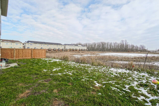50.jpg