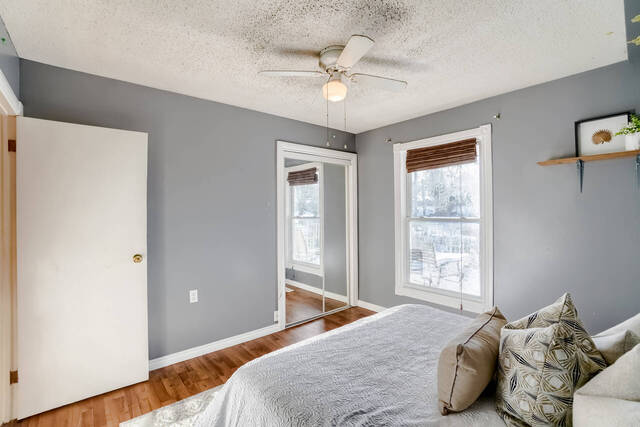 43 Charles Street, Caledon - photo 23