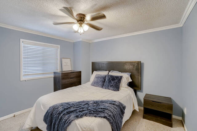 15136 Argyll Road, Georgetown - photo 39