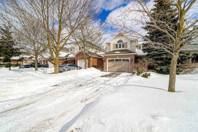 12 Robertson Street, Fergus - photo 4