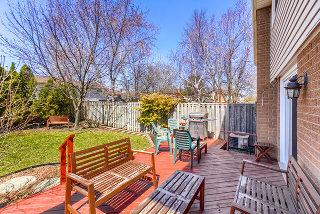 63.jpg