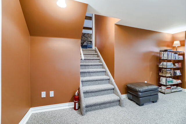 62.jpg