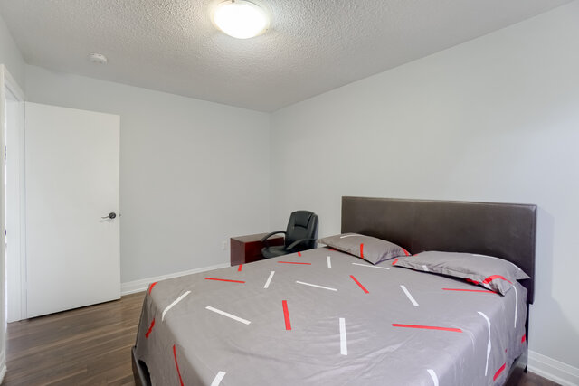 50.jpg