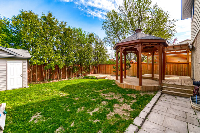 64.JPG