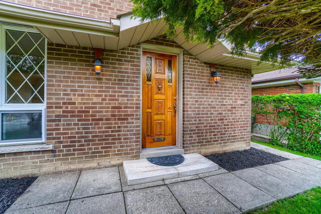 25.jpg