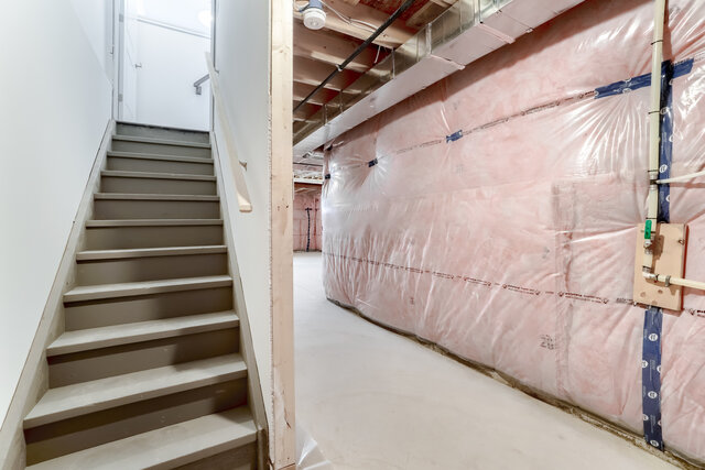 54.jpg