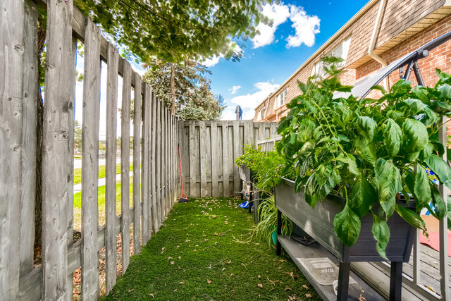 58.JPG