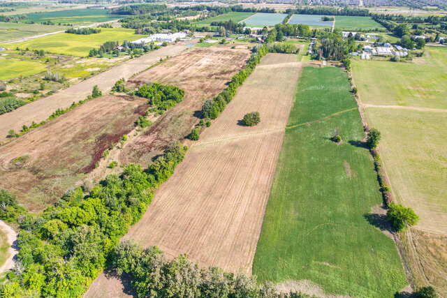 50.jpg