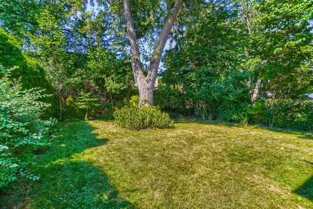 1180 Kipling Avenue, Etobicoke - photo 51