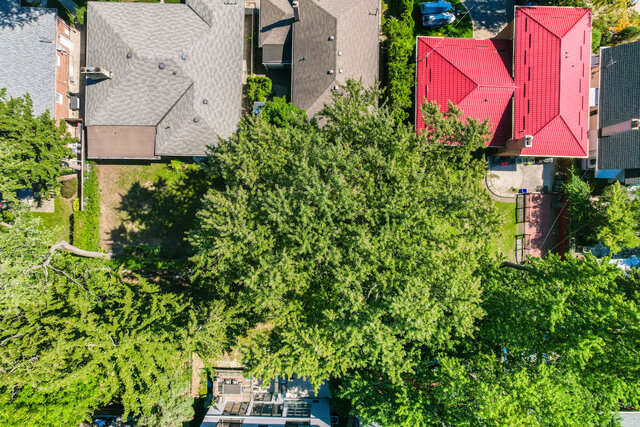 1180 Kipling Avenue, Etobicoke - photo 55