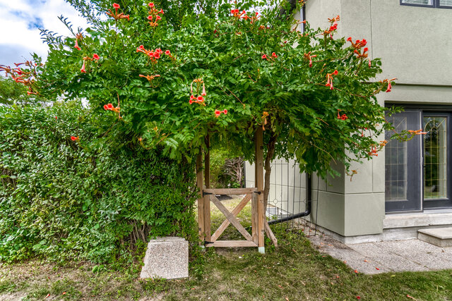 3253 Nobleton Drive, Mississauga - photo 56