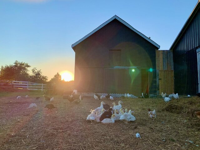 WhatsApp Image 2022-12-21 at 9.59.07 PM.jpeg