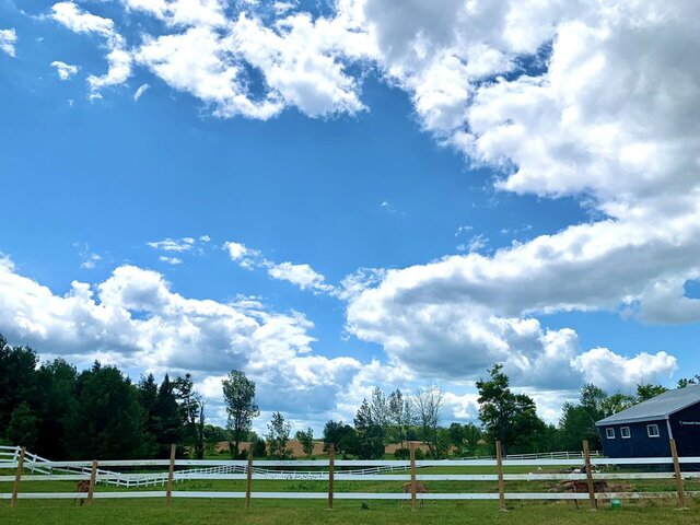 WhatsApp Image 2022-12-21 at 9.59.17 PM.jpeg