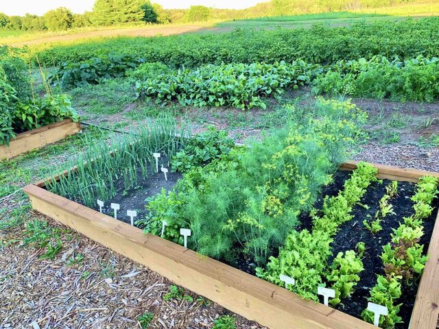 WhatsApp Image 2022-12-21 at 9.59.25 PM.jpeg