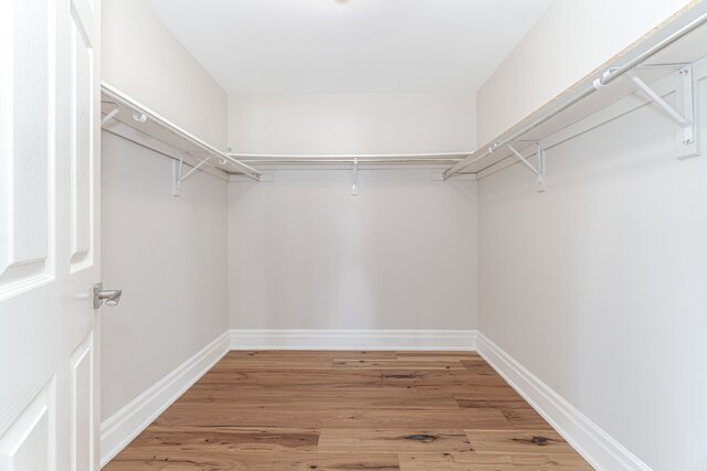 43 Lorne Street, Inglewood - photo 54