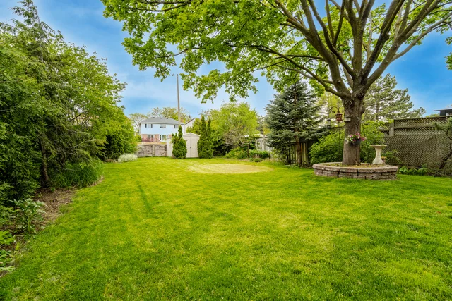 52.jpg