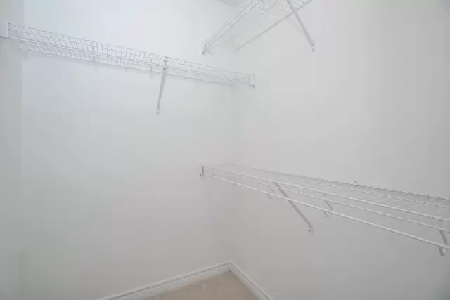 46b.jpg