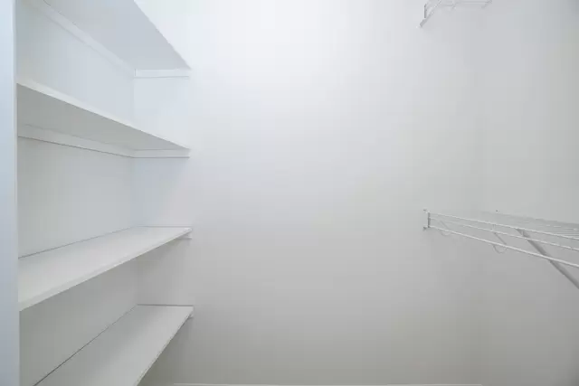 50b.jpg