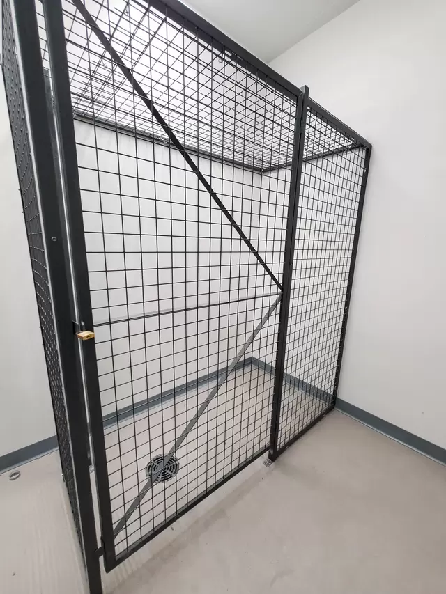 Wish  (44 of 29).jpg