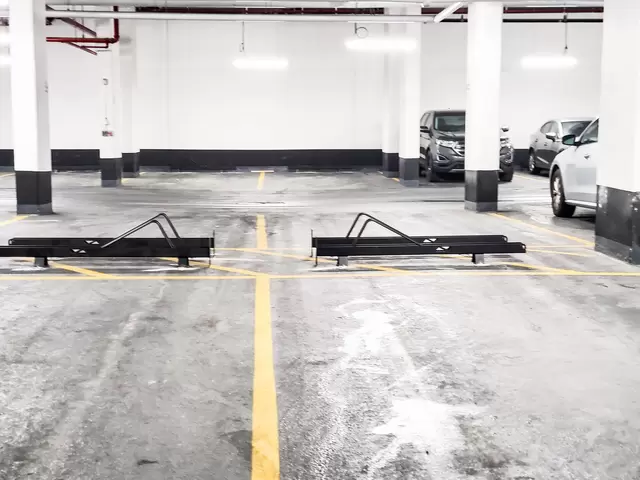 Wish  (45 of 29).jpg