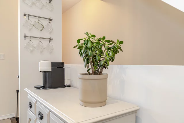 5056 Serena Drive, Beamsville - photo 22