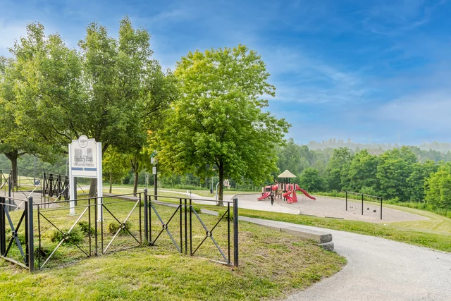 78.jpg