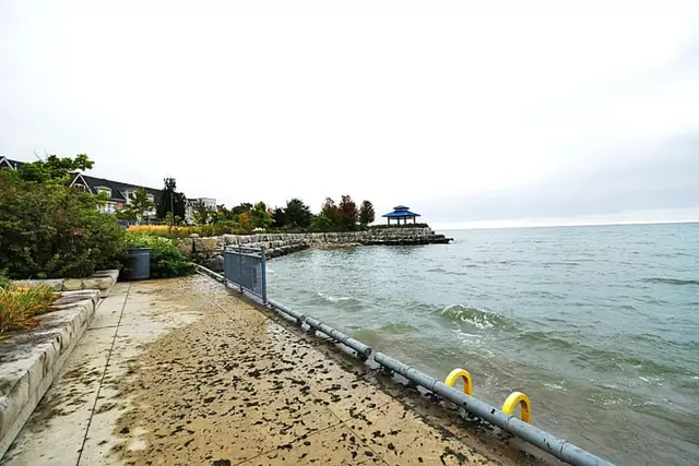 164.jpg