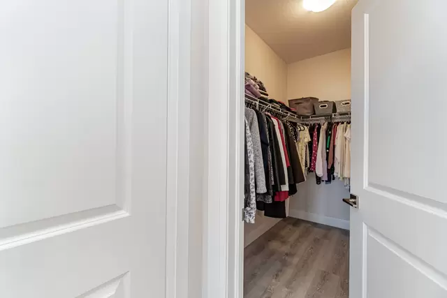 66.jpg