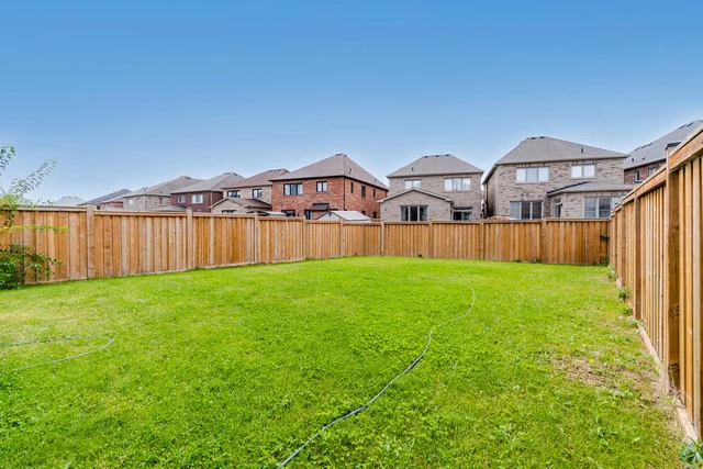 72.jpg
