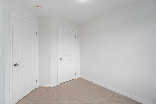 49.JPG