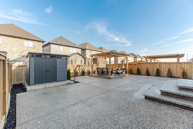 97.jpg