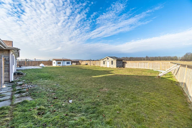 50.jpg