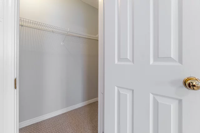 54.JPG