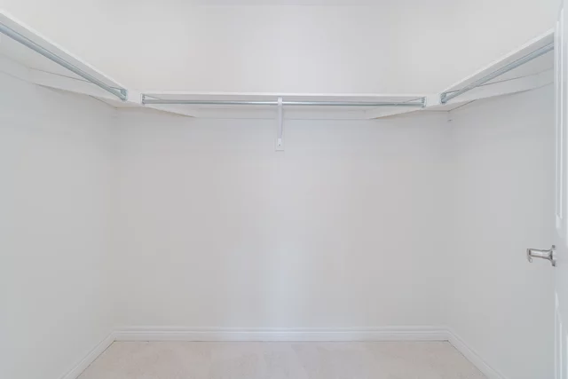 47.JPG