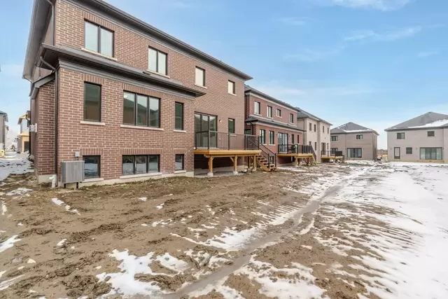 100.jpg