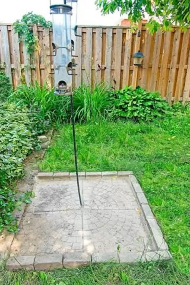 bird feeder.jpg