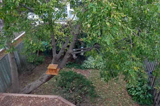 Fall 1.jpg