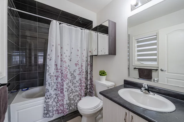 52.jpg