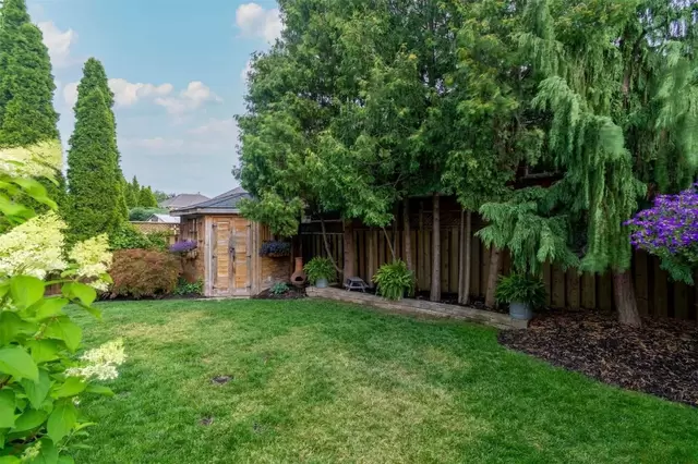 Backyard 1.jpg
