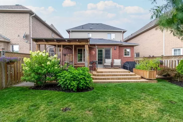 Backyard 2.jpg