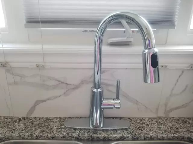 50 Regina Lewis.jpeg