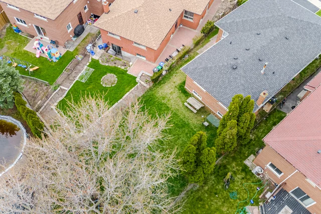 80.jpg