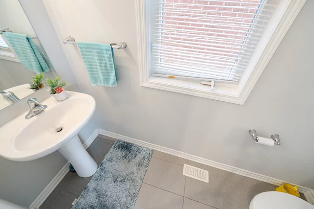 564 Langholm Street, Milton - photo 24