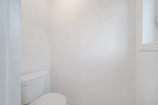 53.jpg
