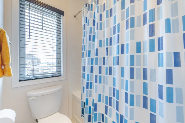 55.jpg