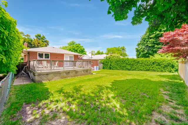 63.jpg