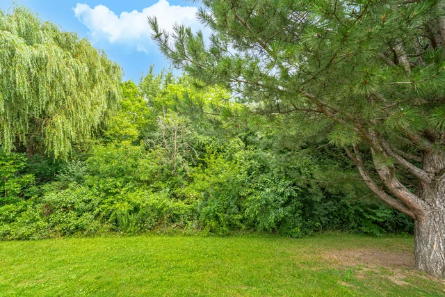38 Leander Street, Brampton - photo 53
