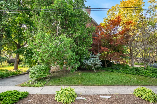 11 Crawford Street, Guelph - photo 73