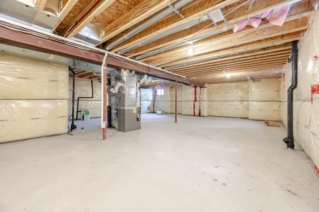 65.jpg